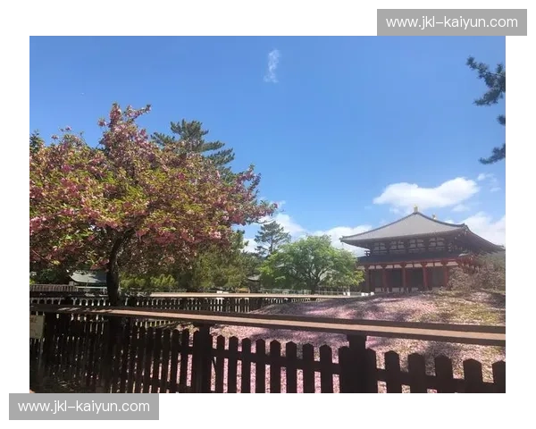 喜悦的绽放：当大阪樱花遇见心之所向